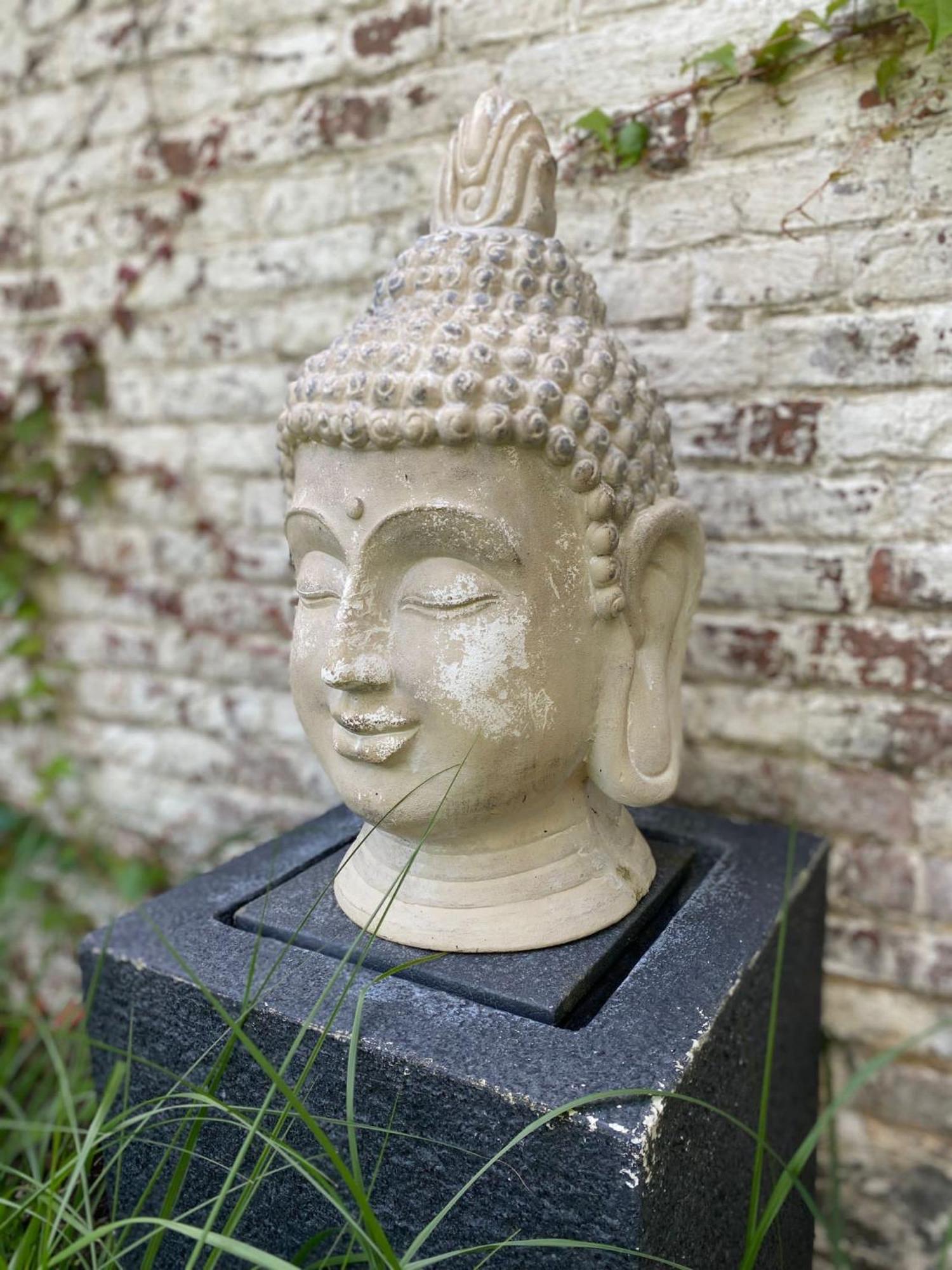 Hamiora Wellness B&B เดนเซอ ภายนอก รูปภาพ