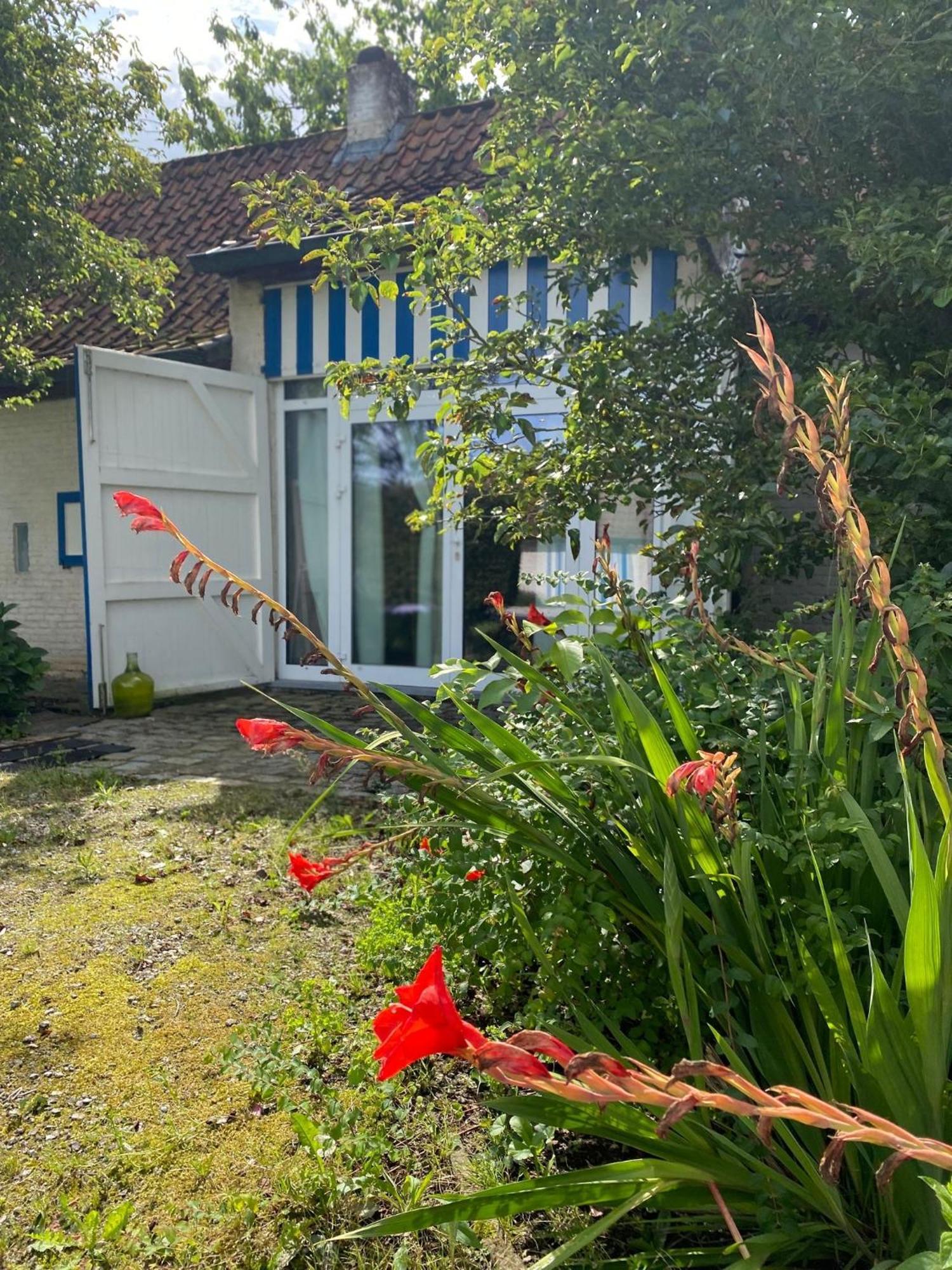 Hamiora Wellness B&B เดนเซอ ภายนอก รูปภาพ