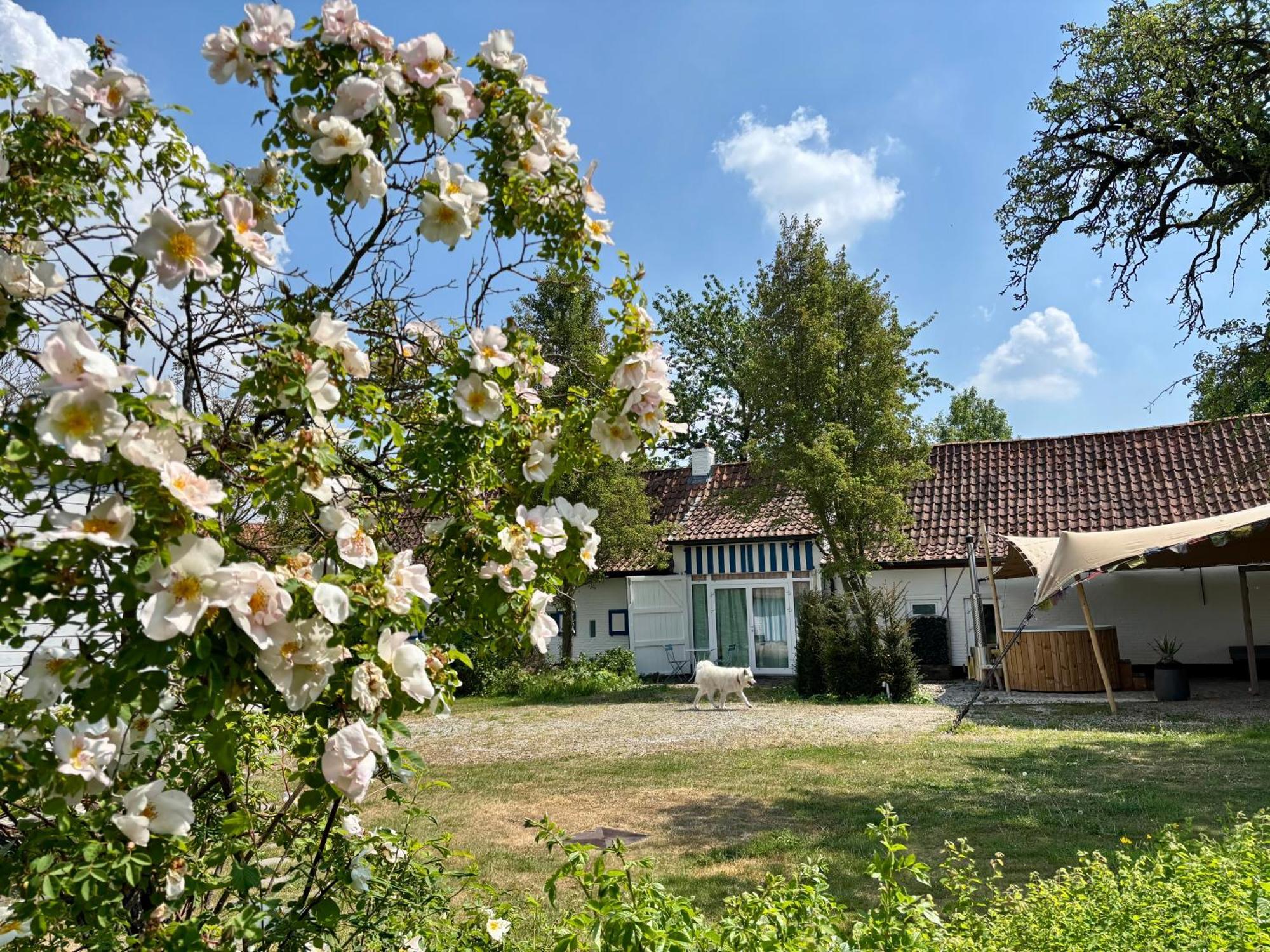 Hamiora Wellness B&B เดนเซอ ภายนอก รูปภาพ